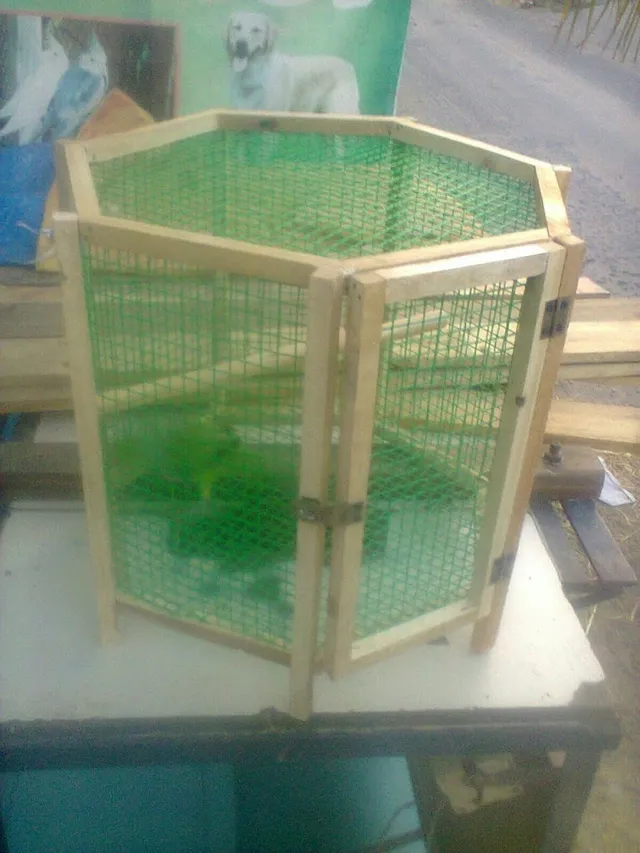 K.V.K. Pet Shop & Cages - 3