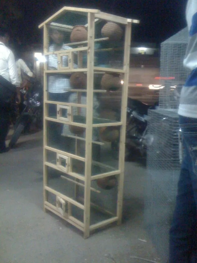 K.V.K. Pet Shop & Cages - 4