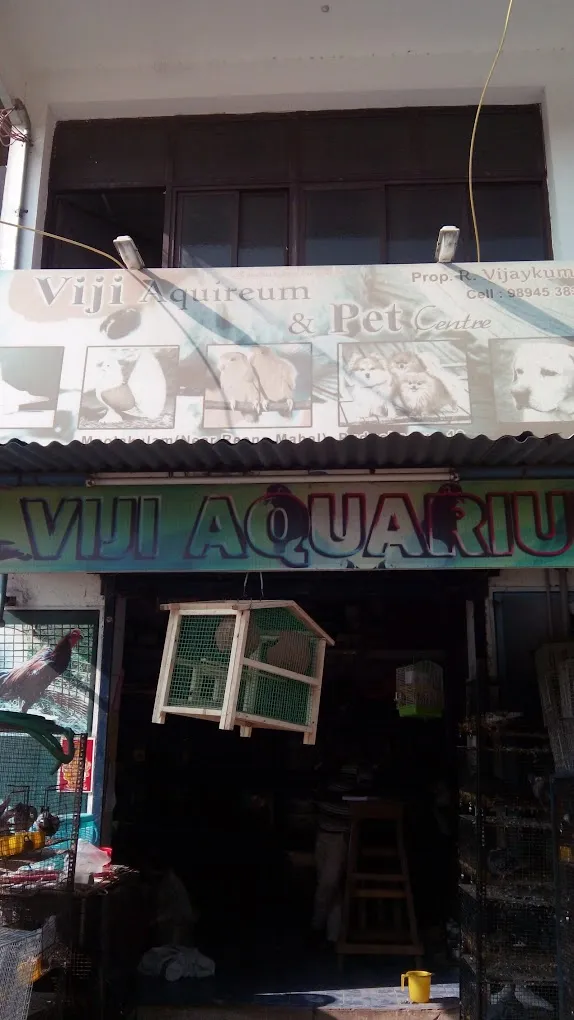 Viji Aquarium & Pet Centre - 5