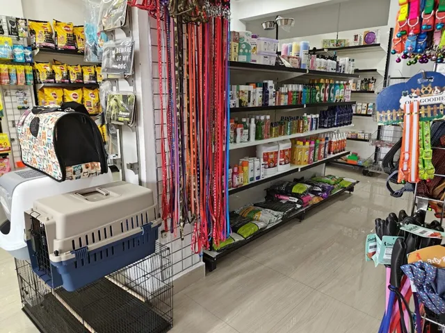 Pet City- PET SHOP - 2