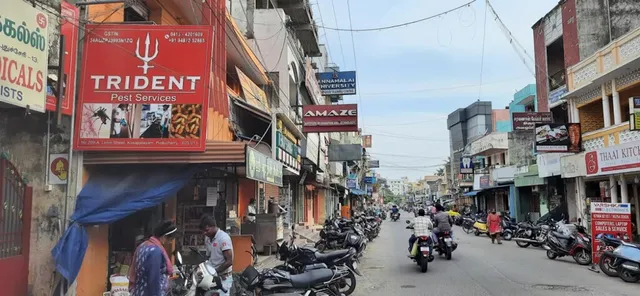 TRIDENT PEST CONTROL SERVICES Puducherry - 3