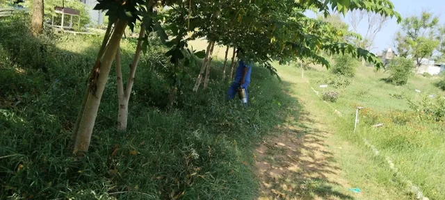 Sri Ganapathy Pest Management &amp; Services – PEST CONTROL SERVICE / TERMITE CONTROL / WATERPROOFING CONTRACTORS IN PONDICHERRY - 5