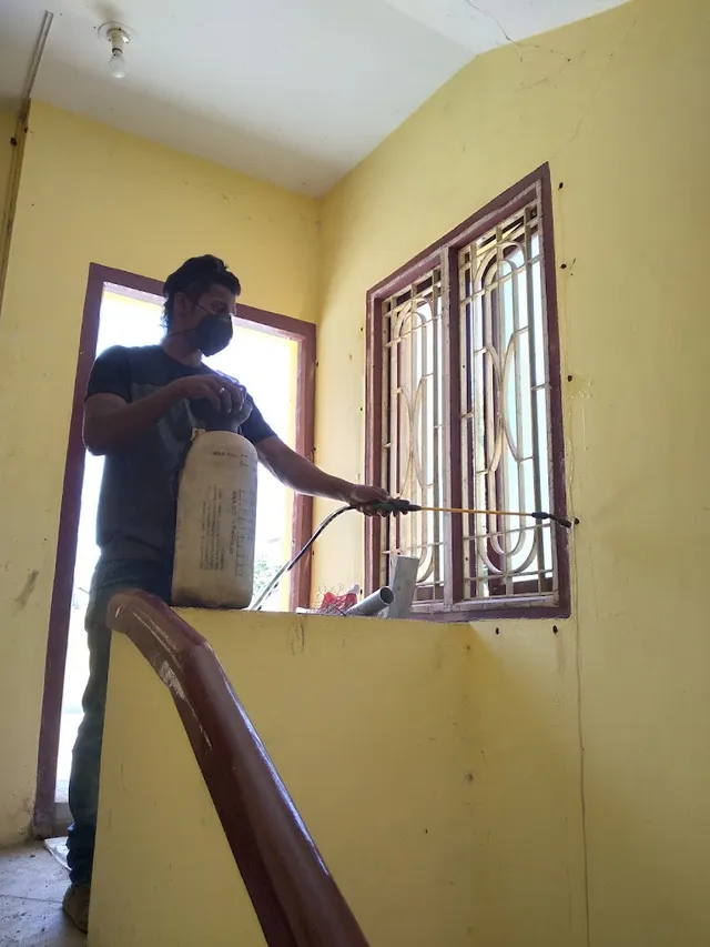 Ungal pest control - 3