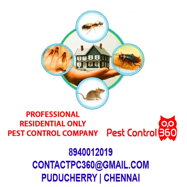 Pest Control 360 - 4