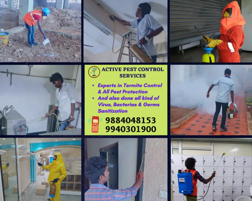 Active Pest Control - Cockroaches/Industrial/Mosquitoes/Eco Friendly/Herbal/Bedbugs/Best Pest Control in Pondicherry