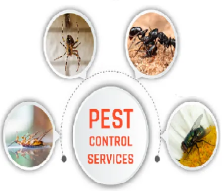 VFMS pest control - 2