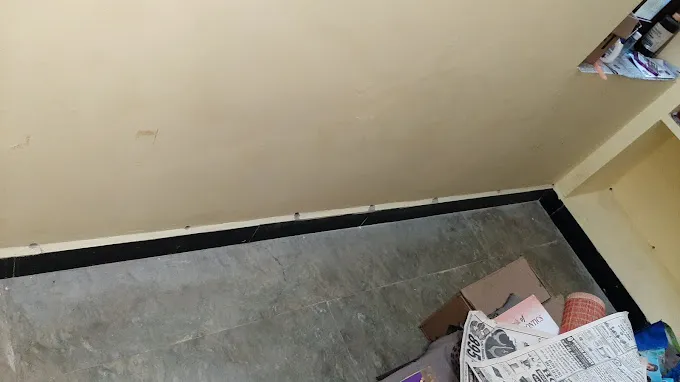 KRT Pest Control Service