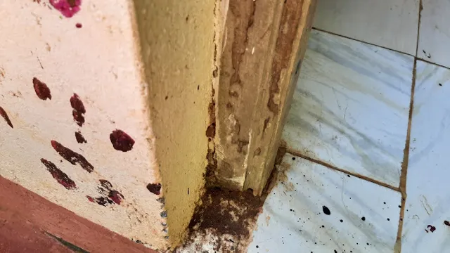 KRT Pest Control Service - 5