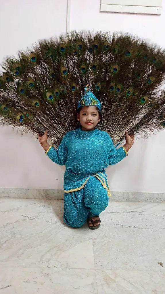 Sara fancy dress costume