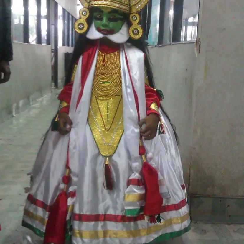 Megalla fancy dress costume