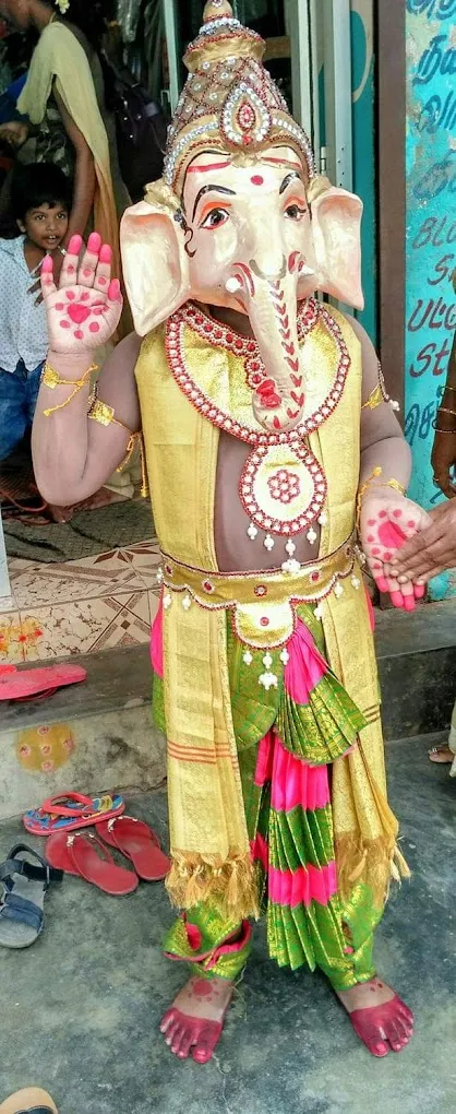 Megalla fancy dress costume - 5