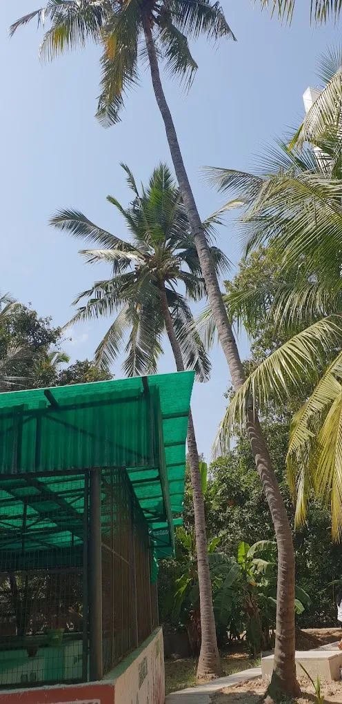 Stella Maris College Chennai - 5