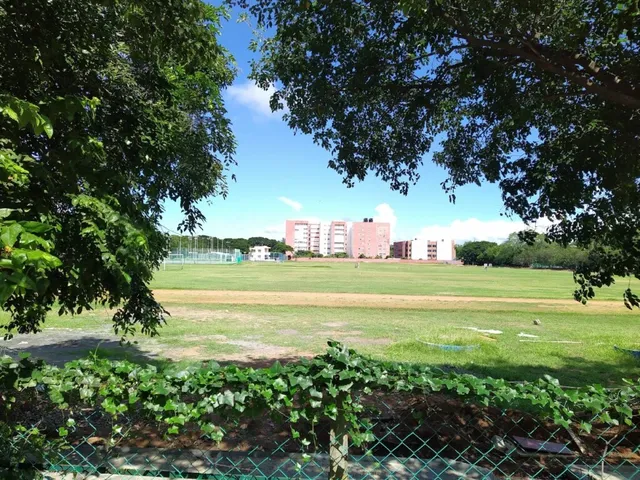 College of Engineering, Guindy - 2