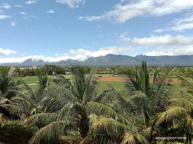 Coimbatore Institute of Engineering and Technology - 3