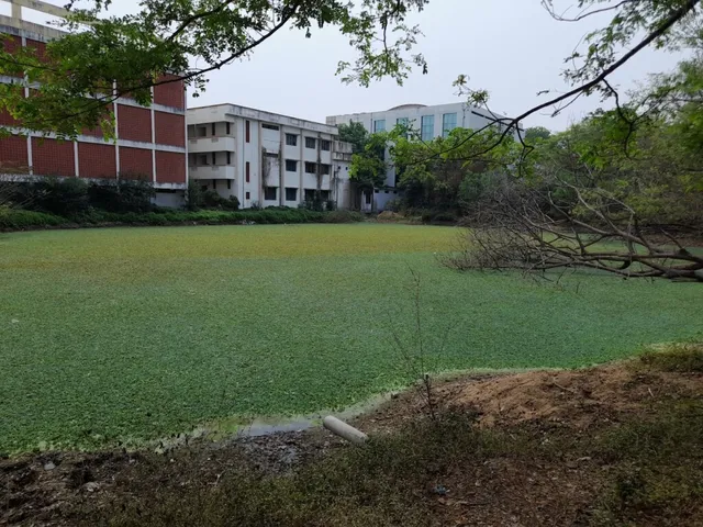 C. Abdul Hakeem College of Engineering & Technology - 4