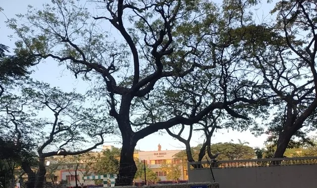 Don Bosco Mat. Hr. Sec. School - 2