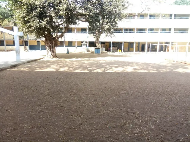 P S Senior Secondary School - 5