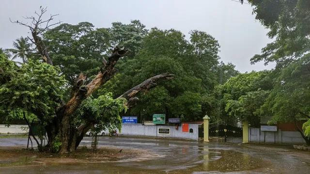 St.Patrick'S Anglo-Indian Higher Secondary School - 3