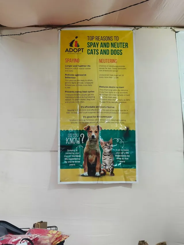 Chettinad - Sath Sadhana - 2