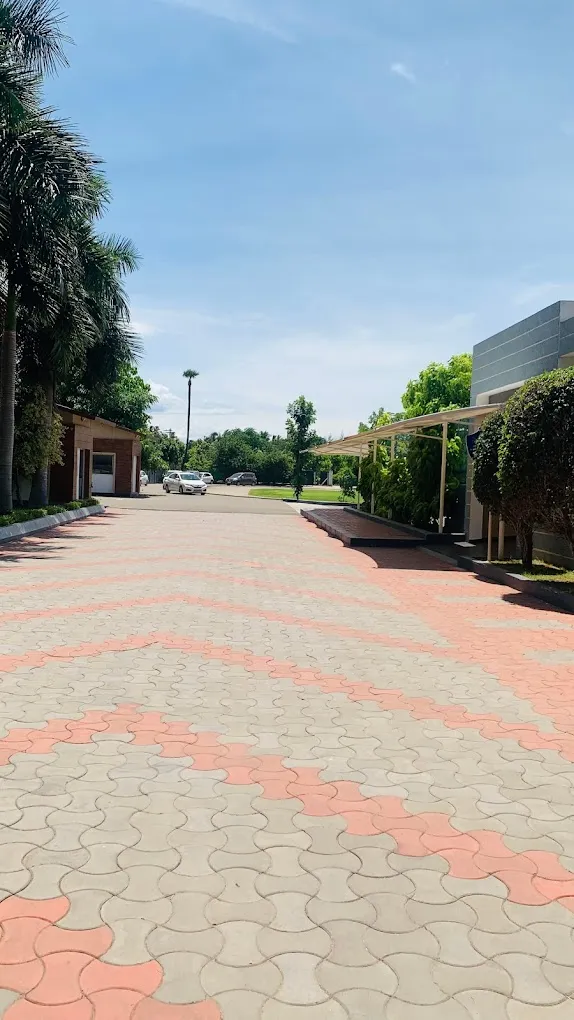 The Camford International School - 3