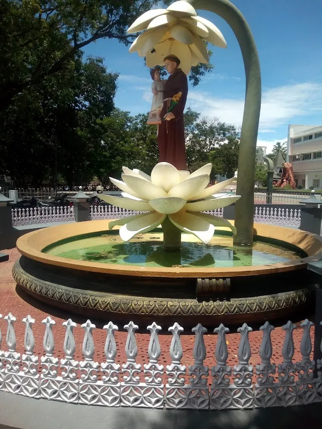 Avila Convent Matric Hr Sec School - 3