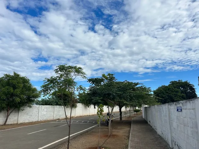Carmel Garden Public School - 4
