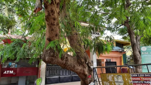 C.M.S Matriculation Higher Secondary School - 2