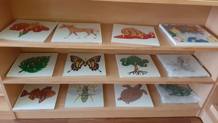 AYRA INTERNATIONAL MONTESSORI SCHOOL