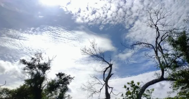 Good Shepherd Matriculation Higher Secondary School Trichy - 4