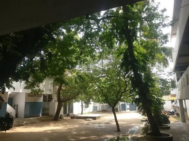 Shakespeare Matriculation School - 5