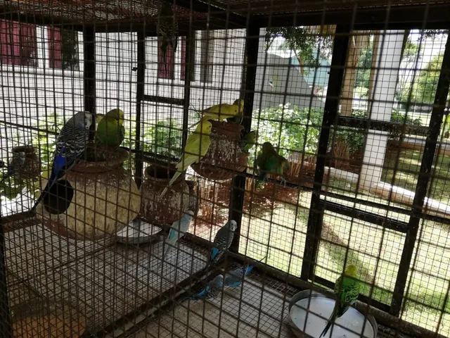 Kongu National Matriculation and Higher School - 2