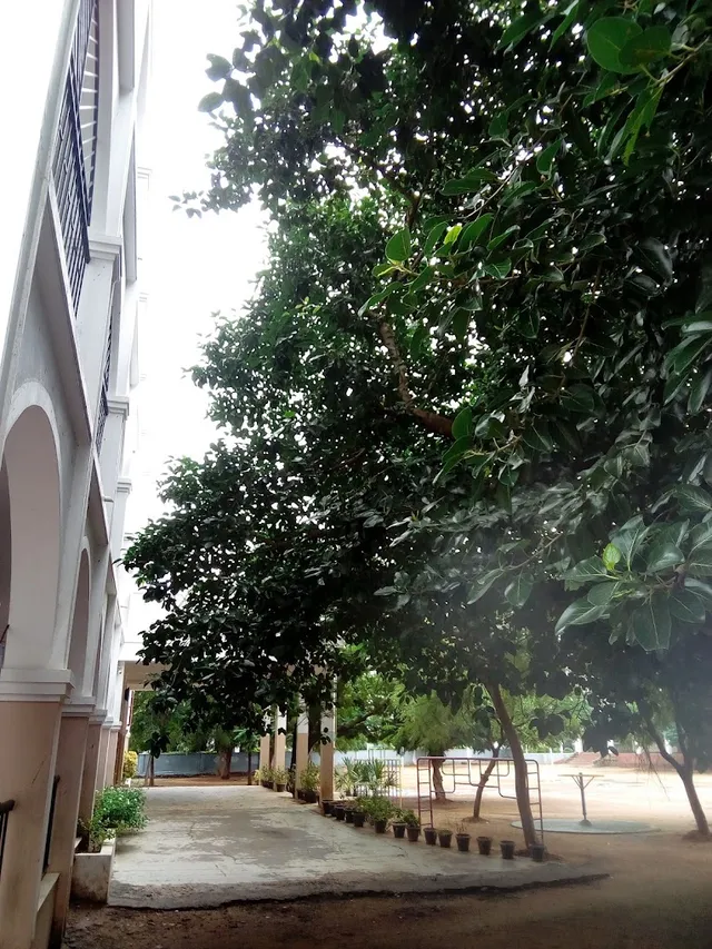 Rose Mary Public School (CBSE) - 2