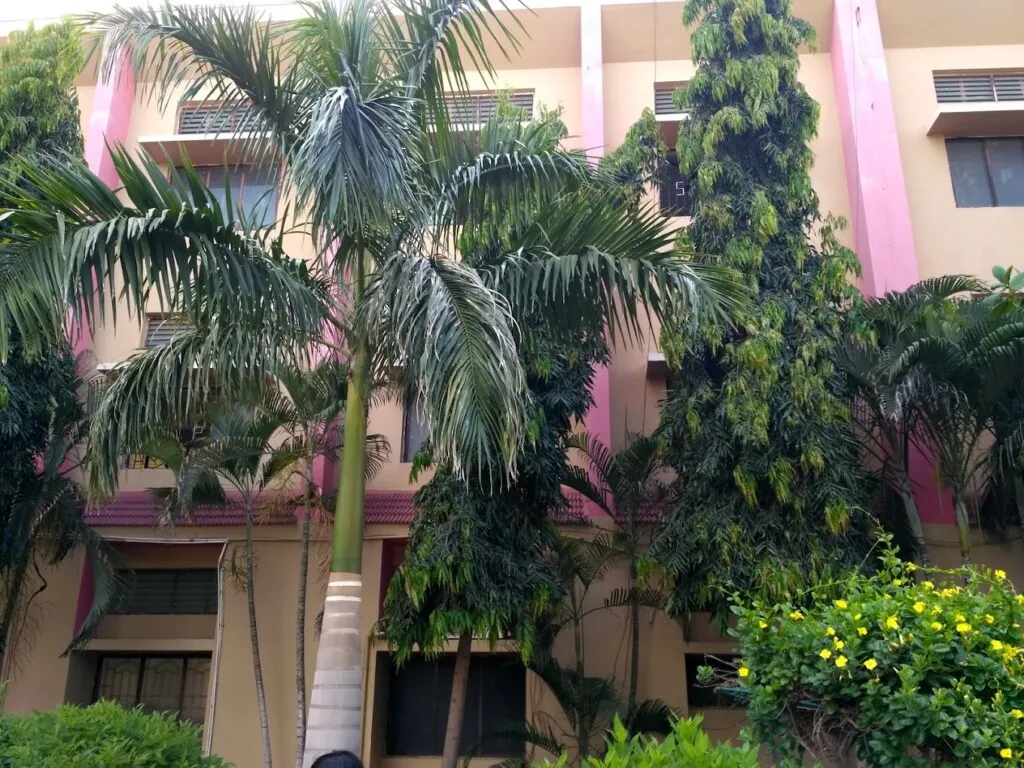 St. Patrick's Academy Matriculation Higher Secondary School