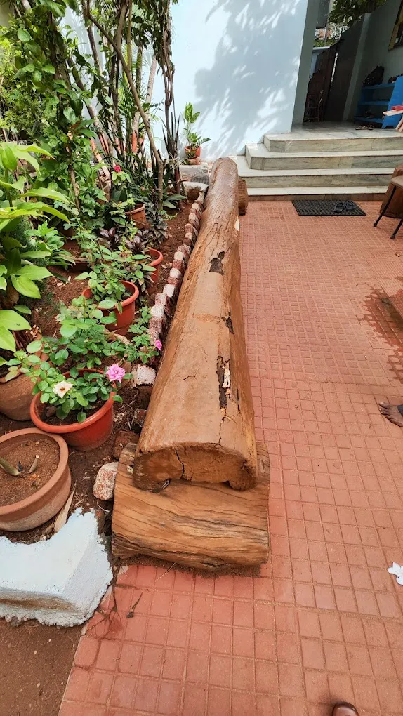 Blooming Buds Montessori School