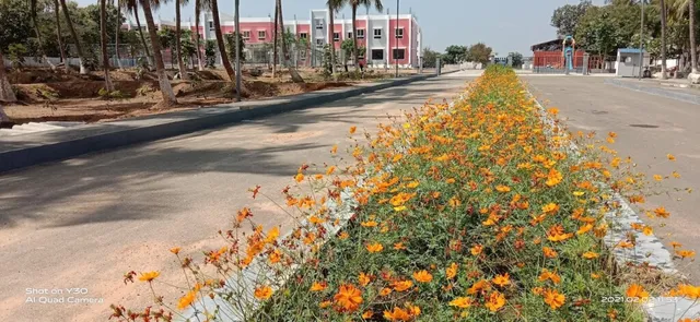 Ramachandra International Public School - RIPS - 2