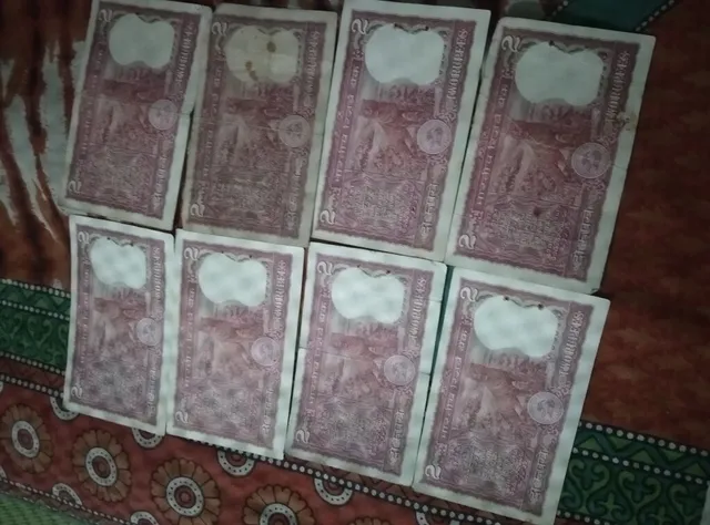 Adyama Gold Jewellery- Gold Buyer in Kolkata, sell gold for cash near me - 5