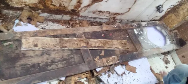 IR PEST CONTROL - 10