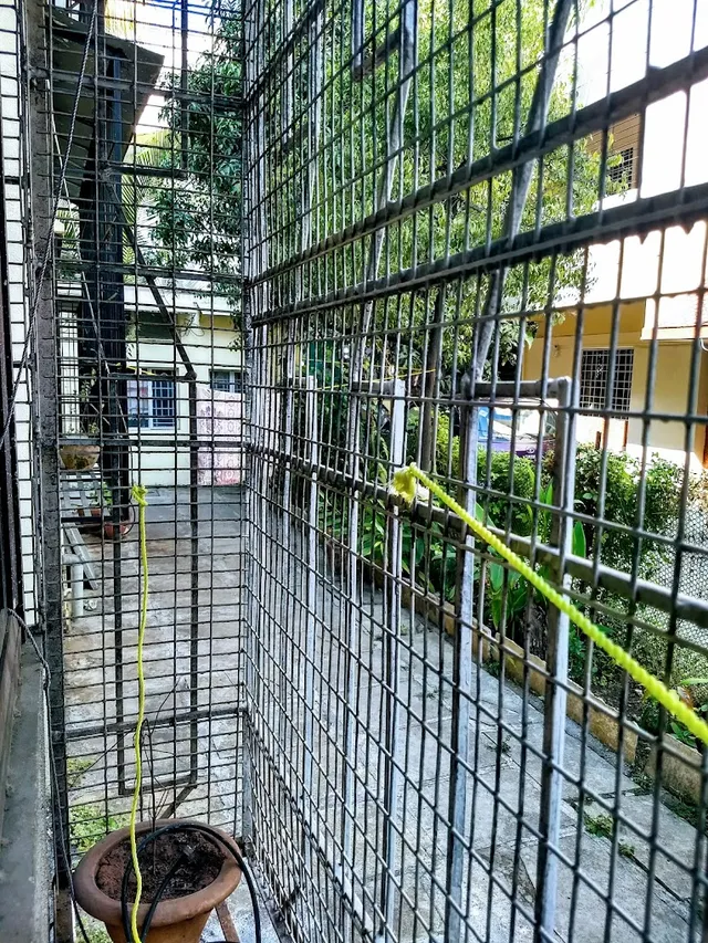 Harshad Caterers - 2