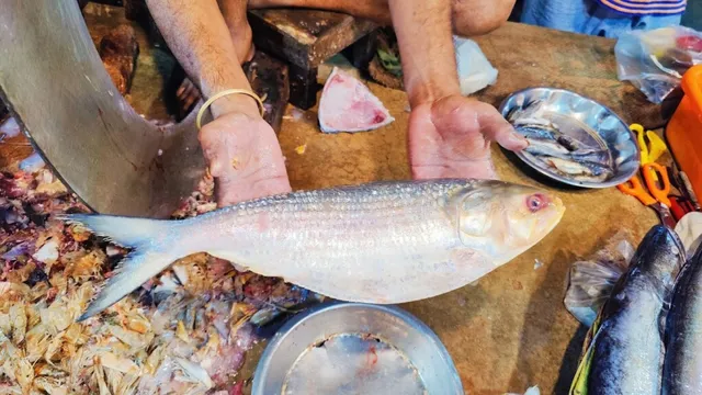 My Nabanna Caterer & decorator - 2