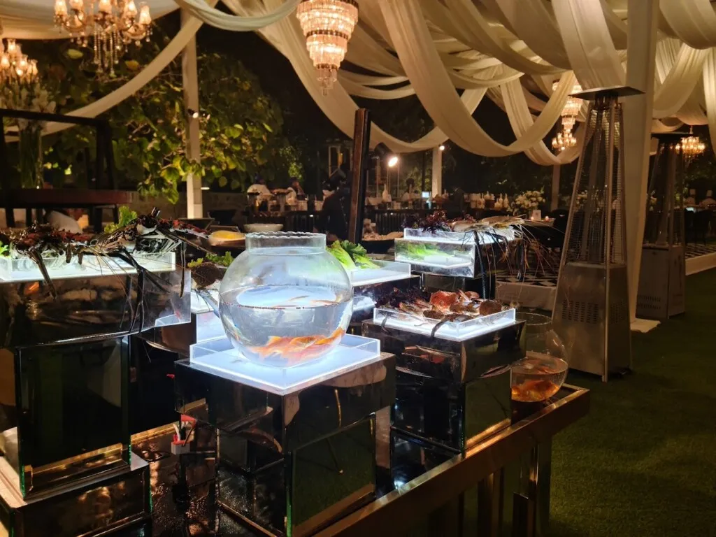 Feeding Concepts Catering