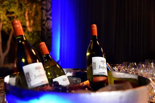 Vibe Catering (Unit of Vibe By The LaLiT Traveller) - 5