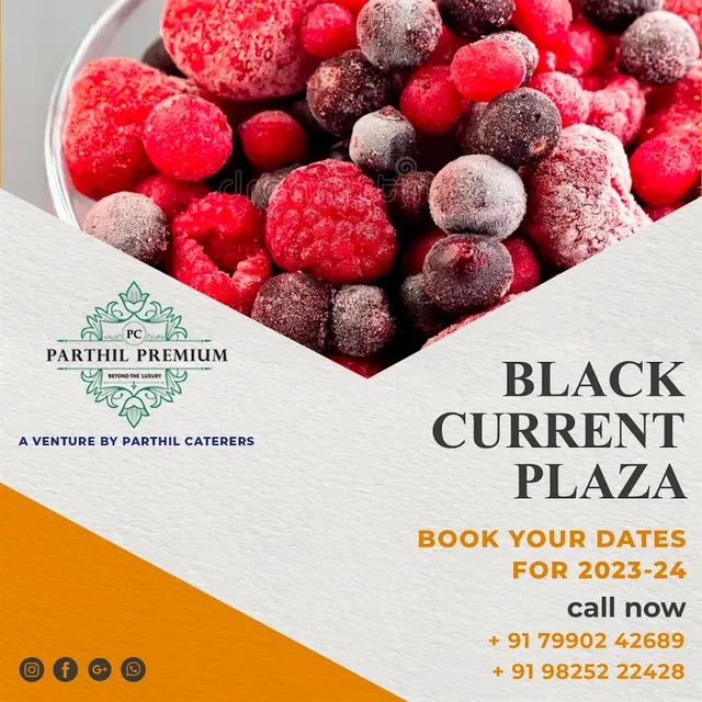 PARTHIL CATERER'S [The Premium Caterers] - 6