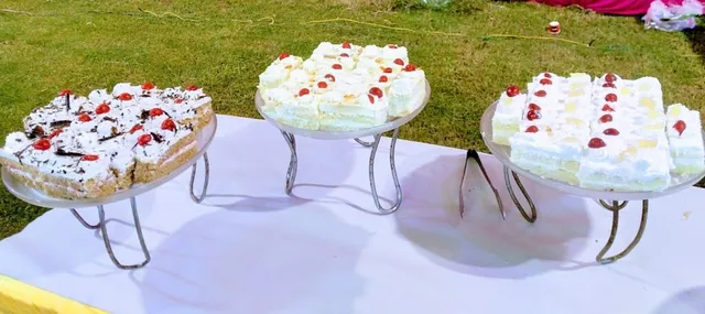 Sheela Raman Caterers - 3