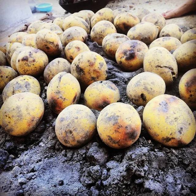 Vignharta Tiffin Centre - 6