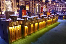 Mittal caterers - Best caterer's in Meerut