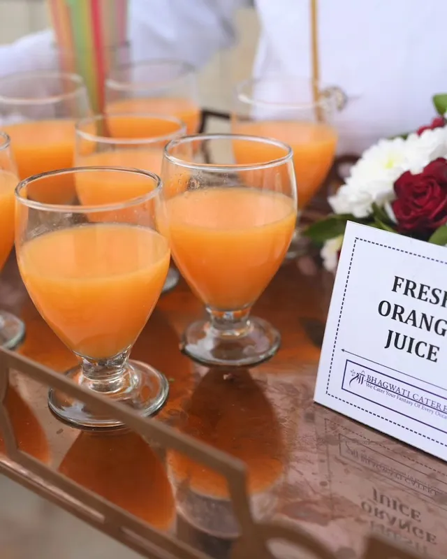 Shree Bhagwati Caterers & Servicing - 2