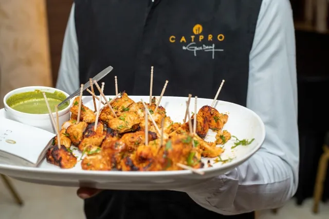 Catpro by Girish Desai - 3