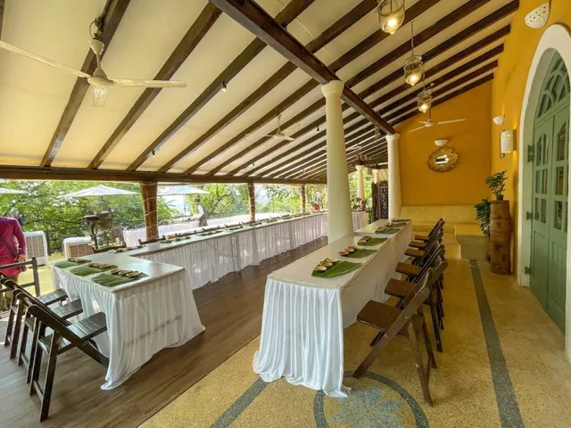 Catpro by Girish Desai - 5