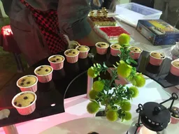 Sooraj Caterers and Events - 3