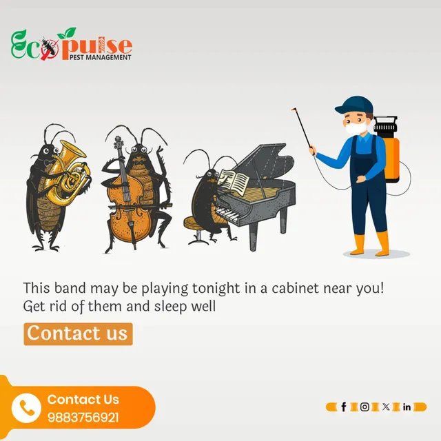 ECOPULSE PEST MANAGEMENT - 3